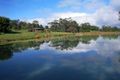 Property photo of 284 Main Creek Road Main Ridge VIC 3928