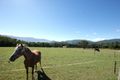 Property photo of 75 Milners Road Yarra Junction VIC 3797