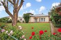 Property photo of 101 Ral Ral Avenue Renmark SA 5341