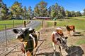 Property photo of 336 Nicholls Rivulet Road Oyster Cove TAS 7150