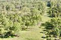 Property photo of 105 Cawthrays Road Miriam Vale QLD 4677