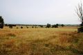 Property photo of 159 Frog Rock Road Frog Rock NSW 2850