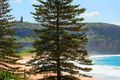 Property photo of 6 Ocean Road Palm Beach NSW 2108