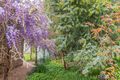 Property photo of 111 Gibraltar Street Bungendore NSW 2621