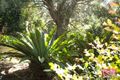 Property photo of 39 Voyager Crescent Bawley Point NSW 2539