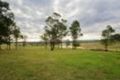 Property photo of 1122 New England Highway Lochinvar NSW 2321