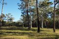 Property photo of Tree Frog Grove Woombah NSW 2469