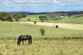 Property photo of 217 Ironstone Road Echunga SA 5153