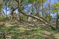Property photo of 138 Highland Terrace St Lucia QLD 4067