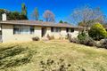 Property photo of 16 Bowman Avenue Armidale NSW 2350