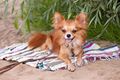 Property photo of 28 Watts Road Callala Beach NSW 2540