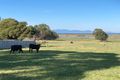 Property photo of 82 Welshpool Road Toora VIC 3962