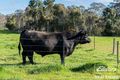 Property photo of 146B Ken Hicks Road Mount Pleasant SA 5235