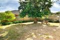 Property photo of 53 Birdwood Street Balwyn VIC 3103