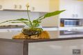 Property photo of 32 Honeypot Avenue Springfield Lakes QLD 4300