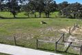 Property photo of 19 Wombat Close Nicholson VIC 3882