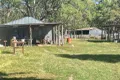 Property photo of 14592 Bruxner Way Texas NSW 4385