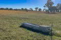 Property photo of 14592 Bruxner Way Texas NSW 4385