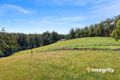 Property photo of 148 Cherrys Lane Toolangi VIC 3777