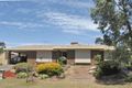 Property photo of 6 Asceola Court Surrey Downs SA 5126