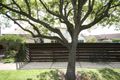 Property photo of 50 Bostock Avenue Manifold Heights VIC 3218