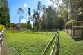 Property photo of 270 Peachester Road Beerwah QLD 4519