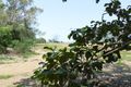 Property photo of 112 Cox Drive Wagait Beach NT 0822