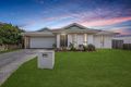 Property photo of 11 Wild Iris Terrace Springfield Lakes QLD 4300