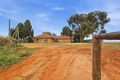 Property photo of 17404 Sturt Highway Barmera SA 5345