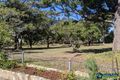 Property photo of 85 Spence Road Wavell Heights QLD 4012