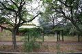 Property photo of 43 Malcolm Street Millswood SA 5034