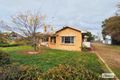 Property photo of 33-35 Ayrey Street Willaura VIC 3379