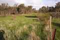 Property photo of 165 Dawe Road Tallarook VIC 3659
