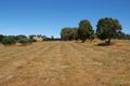 Property photo of 17 Booligal Lane Wandong VIC 3758