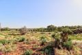 Property photo of 39 Foreman Road Berri SA 5343