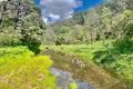 Property photo of 318 Stockyard Creek Road Paynes Crossing NSW 2325