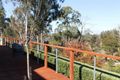 Property photo of 17 Walford Rise Dilston TAS 7252