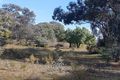 Property photo of 60 Sawpit Road Mudgee NSW 2850