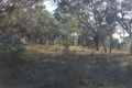 Property photo of 60 Sawpit Road Mudgee NSW 2850
