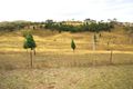 Property photo of 306 Windeyer Road Grattai NSW 2850