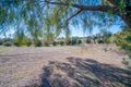 Property photo of 161 Allan Cunningham Road Scone NSW 2337