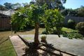 Property photo of 57 Threlfall Street Eastwood NSW 2122