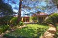 Property photo of 11 Kalgoorlie Street Willoughby NSW 2068