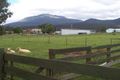 Property photo of 115 Main Road Meander TAS 7304