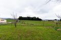 Property photo of 38 East Maurice Road Ringarooma TAS 7263