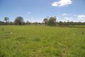 Property photo of 65-97 Flynn Road Stockleigh QLD 4280