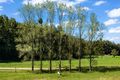 Property photo of 3545 Allyn River Road Upper Allyn NSW 2311