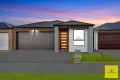 Property photo of 11 Monastery Court Tarneit VIC 3029
