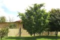 Property photo of 255 Coker Street Berserker QLD 4701