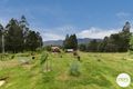 Property photo of 72 Robertson Road Lachlan TAS 7140